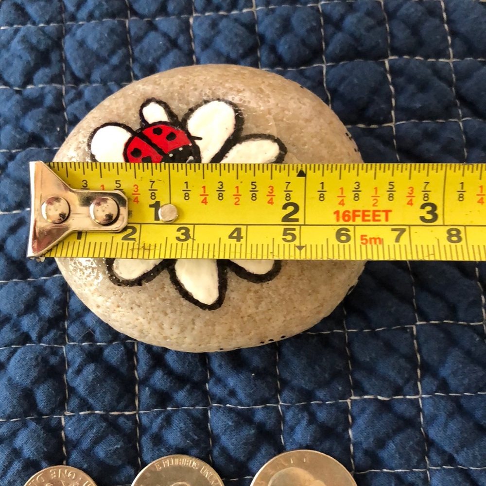 HAND PAINTED LADYBUG  DAISY ROCK - Picture 6 of 7
